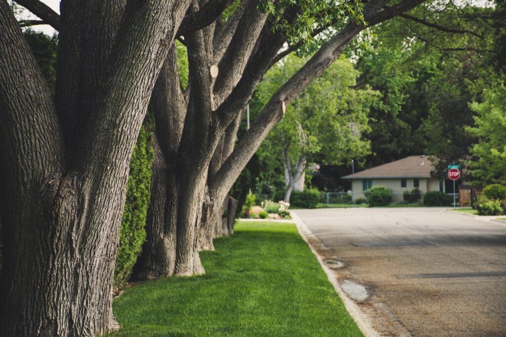 lawn service abilene