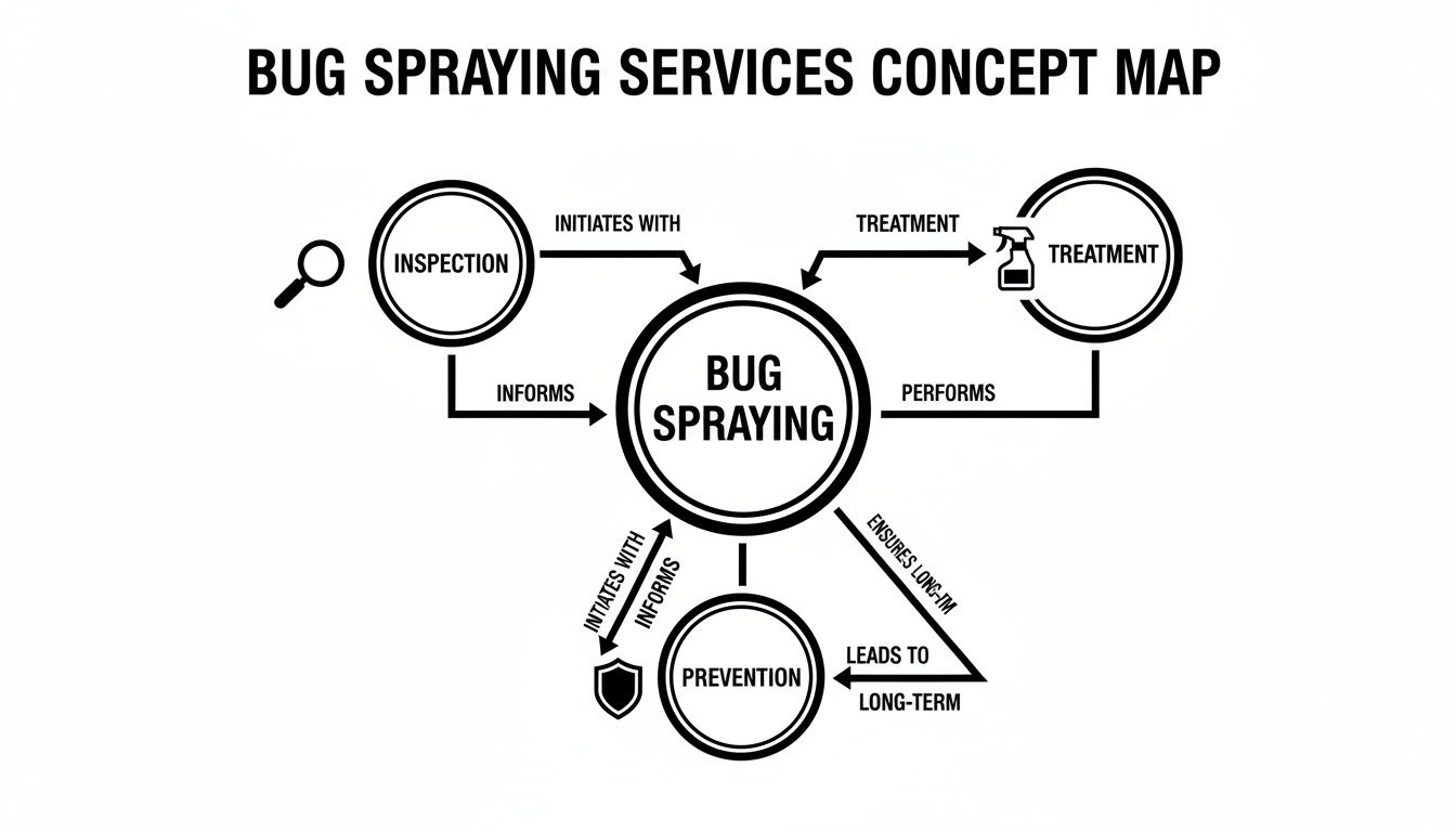 A concept map illustrating bug spraying services, its relationship with inspection, treatment, prevention, and long-term outcomes.