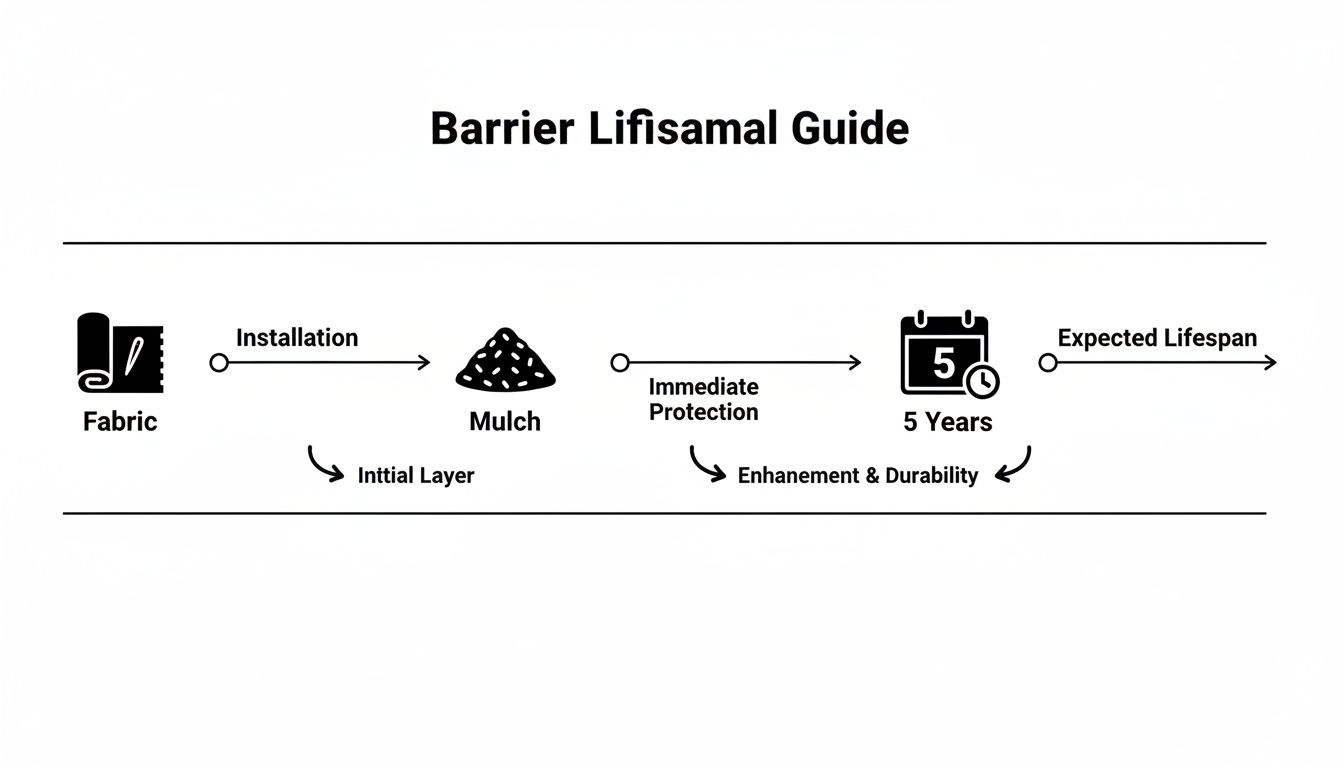A guide illustrating barrier lifespan: fabric installation with mulch for immediate protection and 5 years expected durability.
